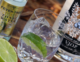 Fever Tree mit Gin, Gin & Tonic