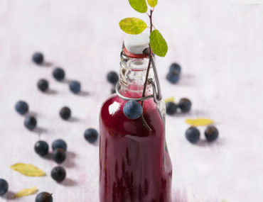 Wissen Sie was Sloe Gin ist?