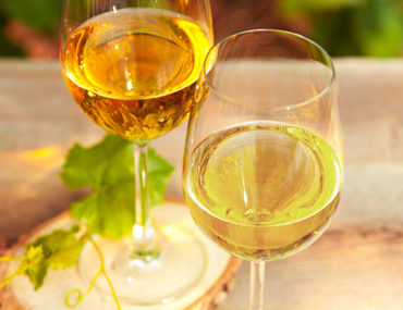 Chardonnay vs. Sauvignon Blanc, wo ist der Unterschied?