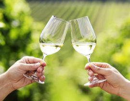 Pinot Grigio und Sauvignon Blanc: das sollten Sie wissen