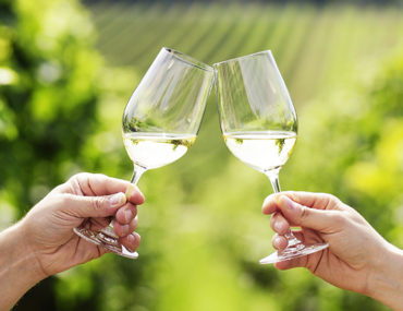 Pinot Grigio und Sauvignon Blanc: das sollten Sie wissen